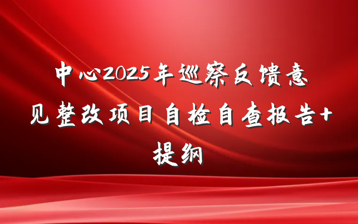 中心2025年巡察反馈意见整改项目自检自查报告 提纲