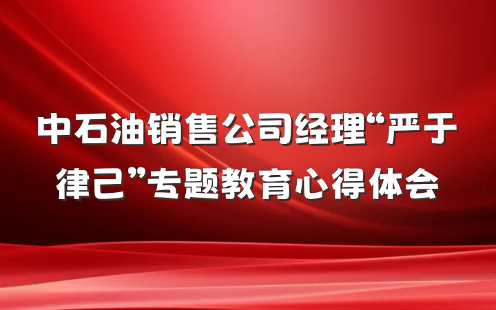 中石油销售公司经理“严于律己”专题教育心得体会