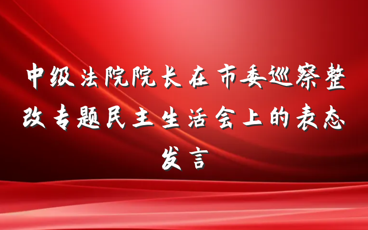 中级法院院长在市委巡察整改专题民主生活会上的表态发言
