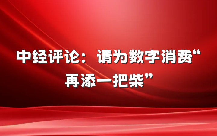 中经评论：请为数字消费“再添一把柴”