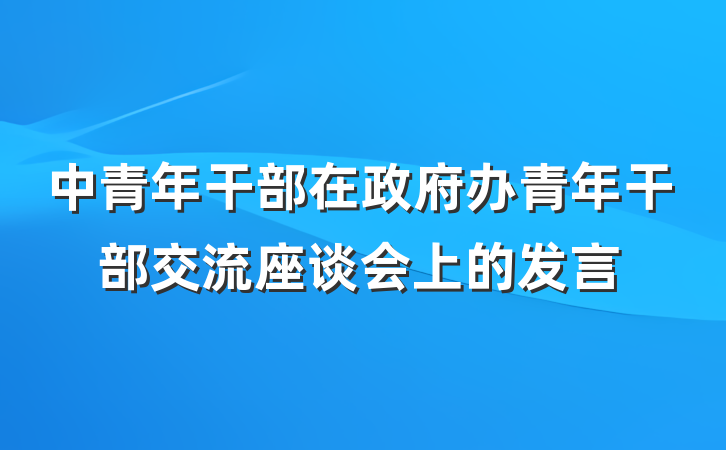 中青年干部在政府办青年干部交流座谈会上的发言