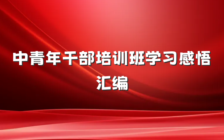 中青年干部培训班学习感悟汇编