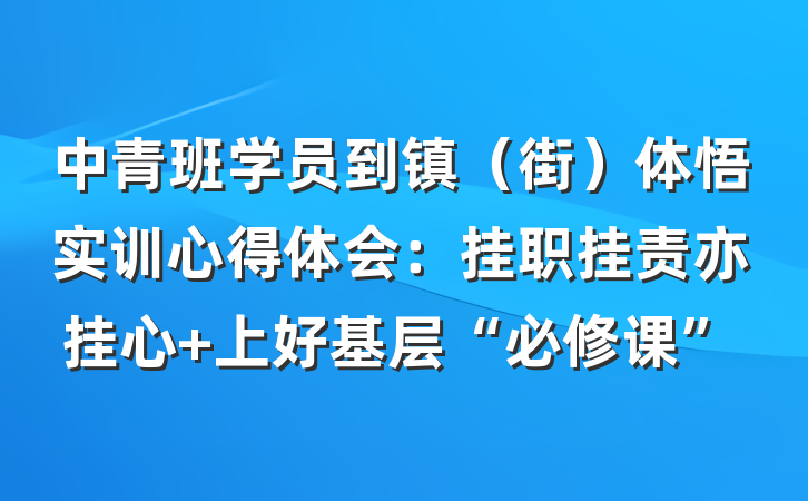 中青班学员到镇（街）体悟实训心得体会：挂职挂责亦挂心 上好基层“必修课”