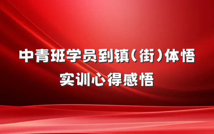 中青班学员到镇（街）体悟实训心得感悟