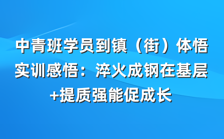 中青班学员到镇（街）体悟实训感悟：淬火成钢在基层 提质强能促成长