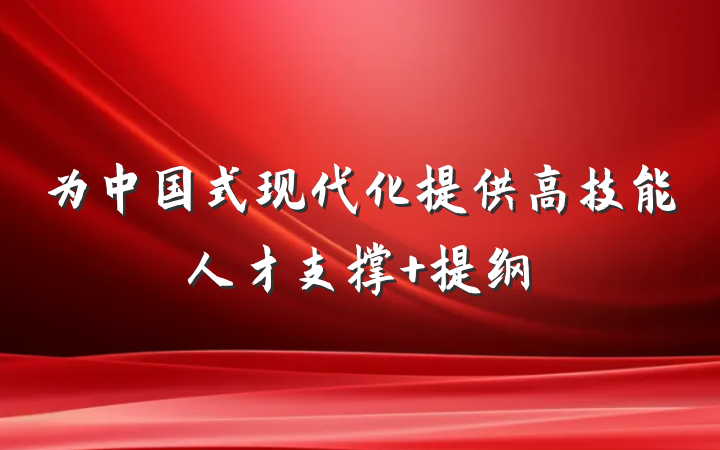 为中国式现代化提供高技能人才支撑 提纲