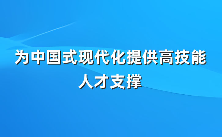 为中国式现代化提供高技能人才支撑
