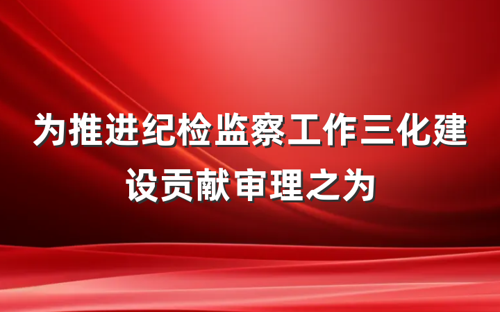 为推进纪检监察工作三化建设贡献审理之为