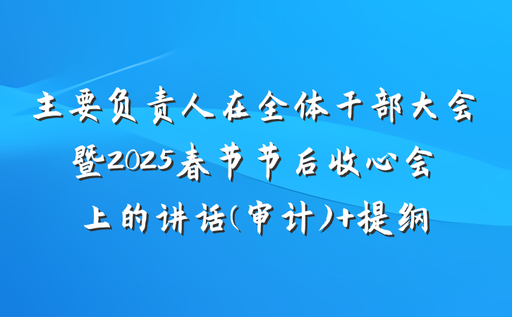 主要负责人在全体干部大会暨2025春节节后收心会上的讲话(审计) 提纲