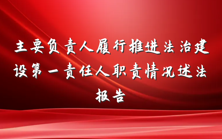 主要负责人履行推进法治建设第一责任人职责情况述法报告