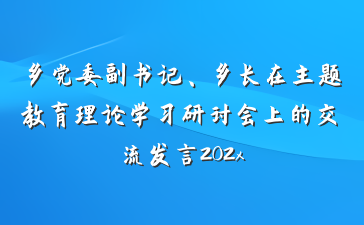 乡党委副书记、乡长在主题教育理论学习研讨会上的交流发言202x