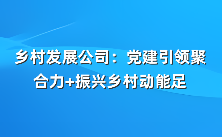 乡村发展公司：党建引领聚合力 振兴乡村动能足