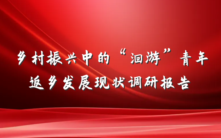 乡村振兴中的“洄游”青年返乡发展现状调研报告