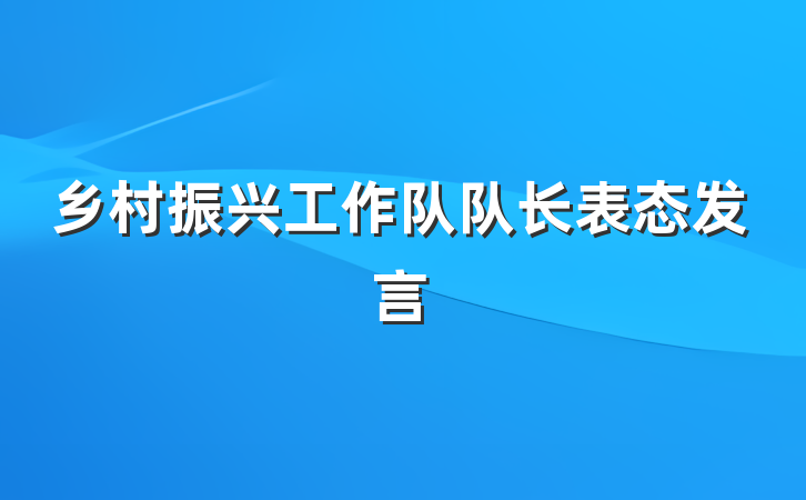 乡村振兴工作队队长表态发言