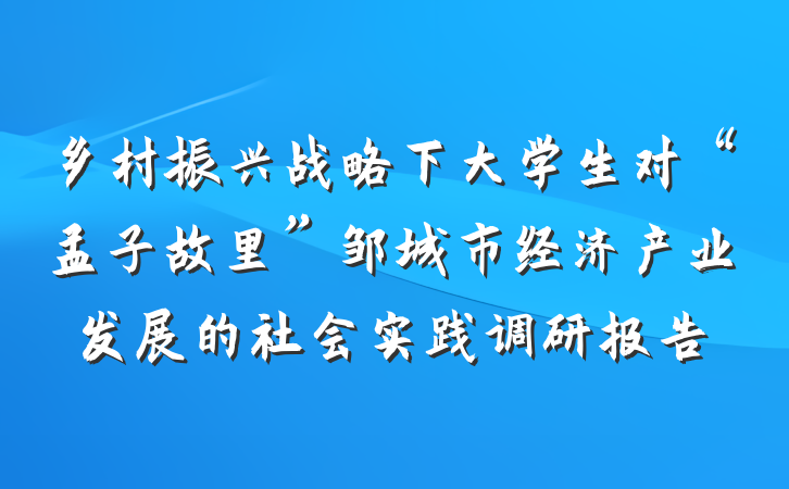 乡村振兴战略下大学生对“孟子故里”邹城市经济产业发展的社会实践调研报告