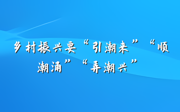 乡村振兴要“引潮来”“顺潮涌”“弄潮兴”