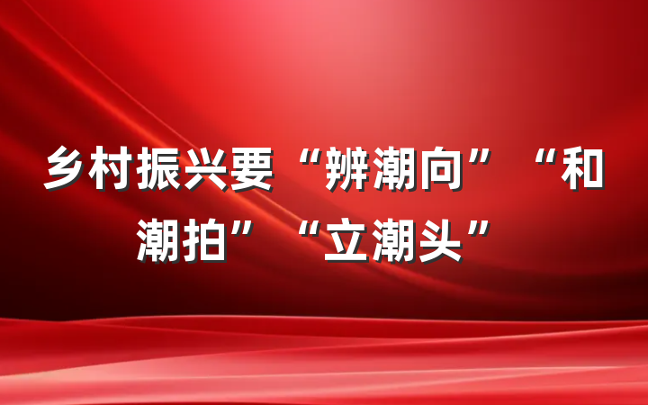 乡村振兴要“辨潮向”“和潮拍”“立潮头”
