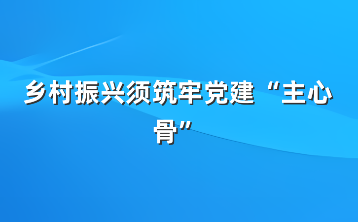 乡村振兴须筑牢党建“主心骨”