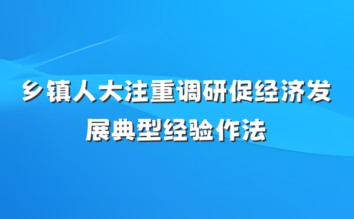 乡镇人大注重调研促经济发展典型经验作法