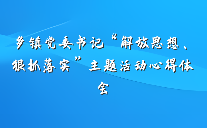 乡镇党委书记“解放思想、狠抓落实”主题活动心得体会
