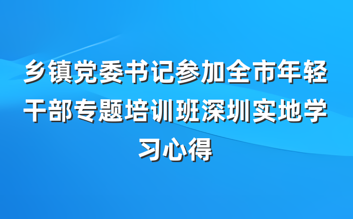 乡镇党委书记参加全市年轻干部专题培训班深圳实地学习心得