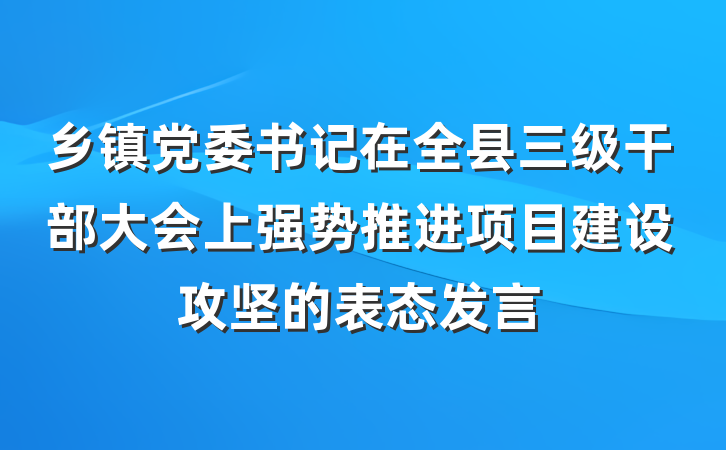 乡镇党委书记在全县三级干部大会上强势推进项目建设攻坚的表态发言