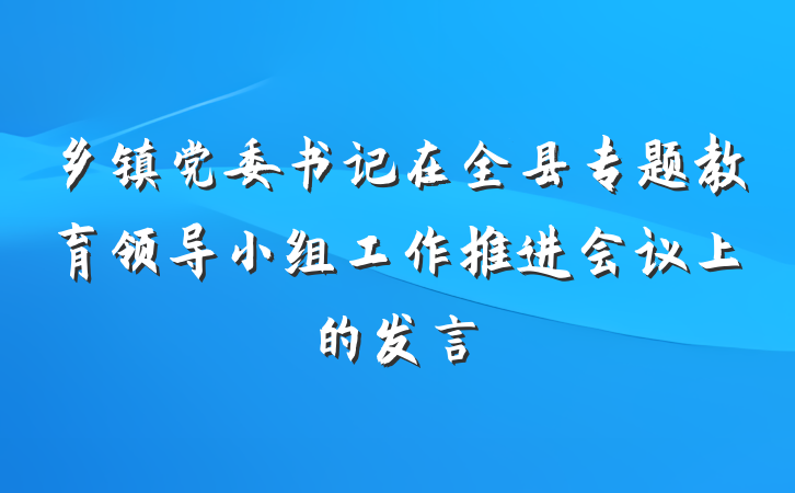 乡镇党委书记在全县专题教育领导小组工作推进会议上的发言