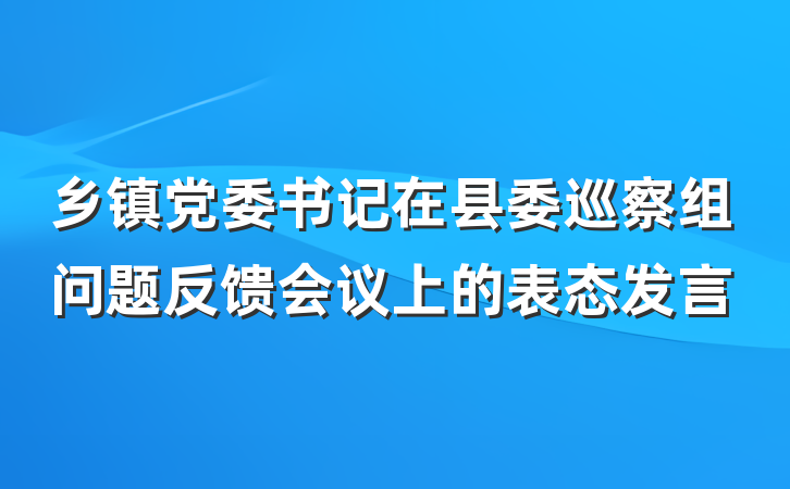 乡镇党委书记在县委巡察组问题反馈会议上的表态发言