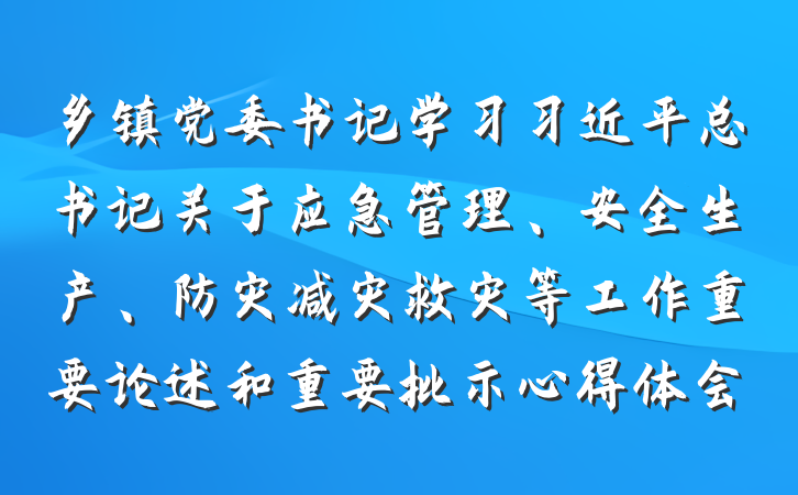 乡镇党委书记学习习近平总书记关于应急管理、安全生产、防灾减灾救灾等工作重要论述和重要批示心得体会