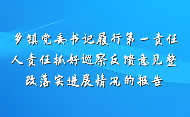 乡镇党委书记履行第一责任人责任抓好巡察反馈意见整改落实进展情况的报告