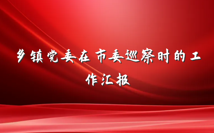 乡镇党委在市委巡察时的工作汇报