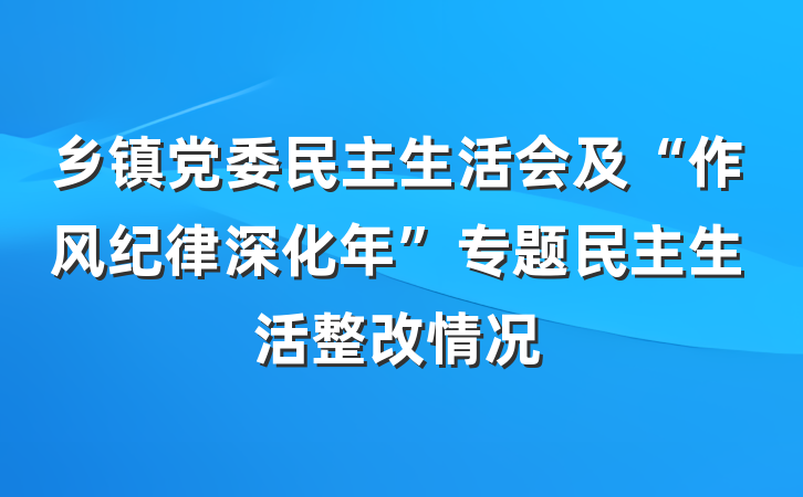 乡镇党委民主生活会及“作风纪律深化年”专题民主生活整改情况