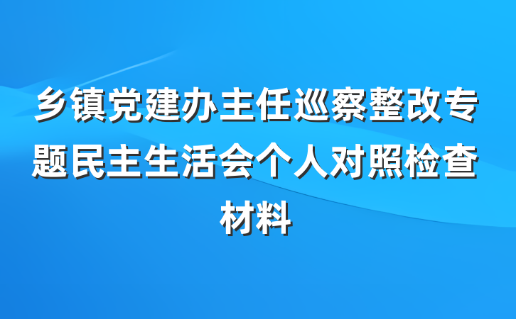 乡镇党建办主任巡察整改专题民主生活会个人对照检查材料