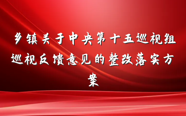 乡镇关于中央第十五巡视组巡视反馈意见的整改落实方案