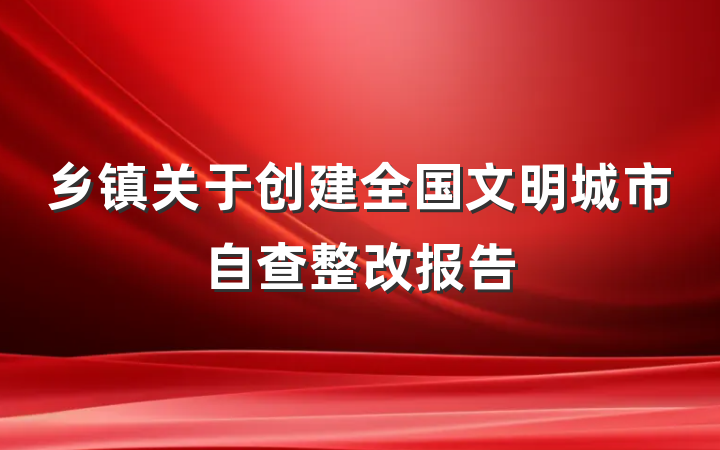 乡镇关于创建全国文明城市自查整改报告