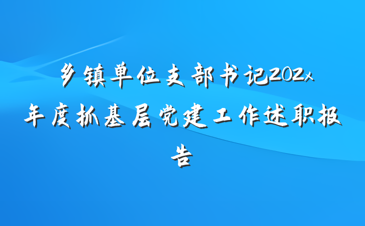 乡镇单位支部书记202x年度抓基层党建工作述职报告