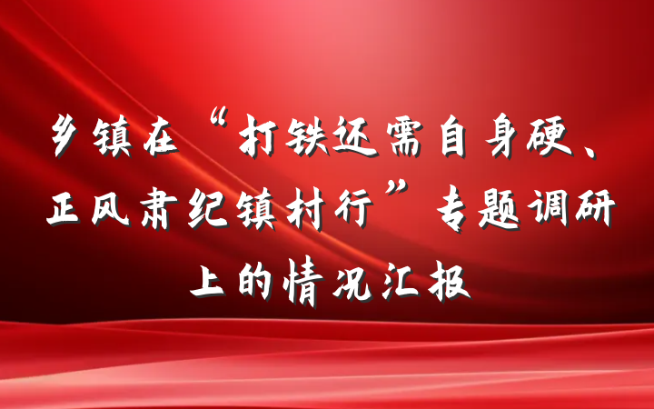 乡镇在“打铁还需自身硬、正风肃纪镇村行”专题调研上的情况汇报