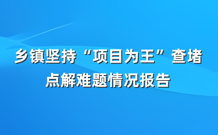 乡镇坚持“项目为王”查堵点解难题情况报告