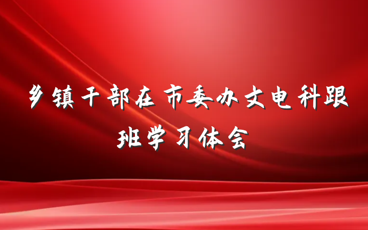 乡镇干部在市委办文电科跟班学习体会