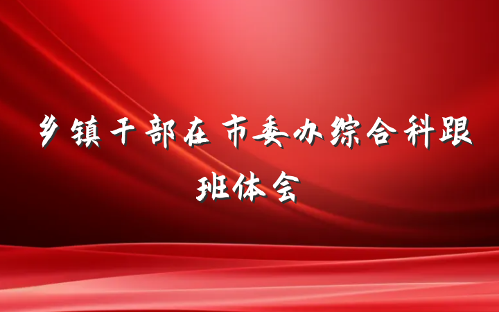 乡镇干部在市委办综合科跟班体会