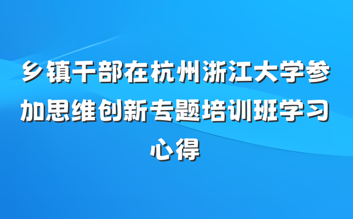 乡镇干部在杭州浙江大学参加思维创新专题培训班学习心得