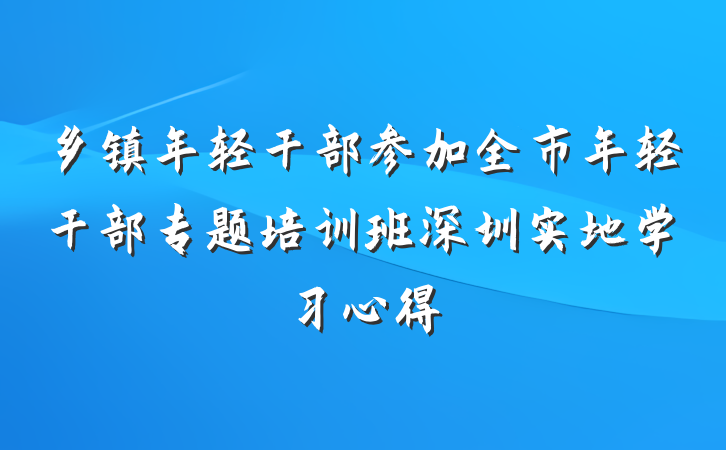 乡镇年轻干部参加全市年轻干部专题培训班深圳实地学习心得