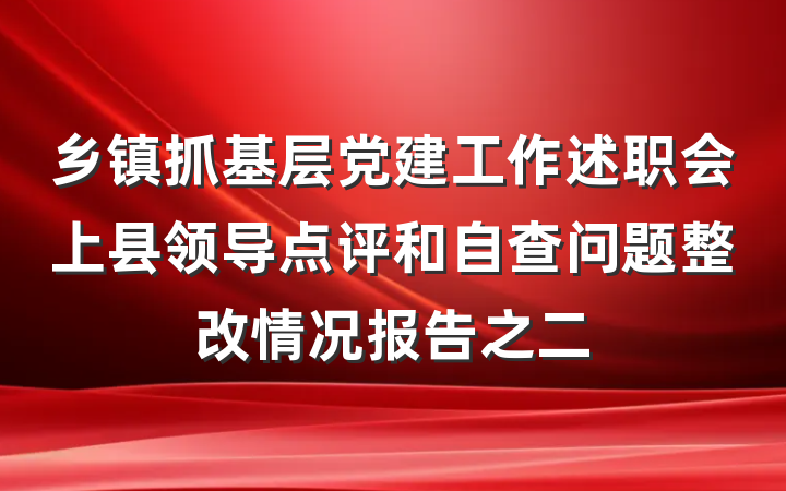 乡镇抓基层党建工作述职会上县领导点评和自查问题整改情况报告之二
