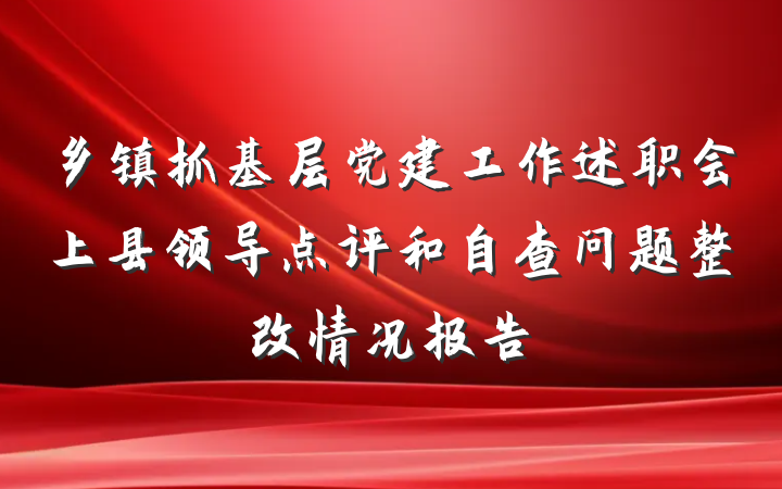 乡镇抓基层党建工作述职会上县领导点评和自查问题整改情况报告