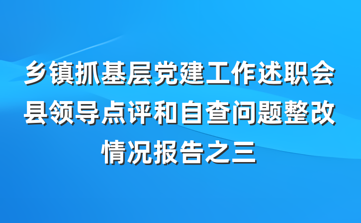 乡镇抓基层党建工作述职会县领导点评和自查问题整改情况报告之三