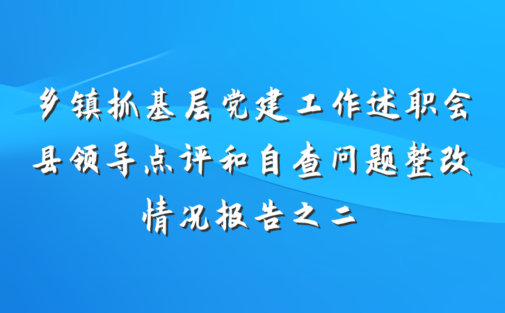 乡镇抓基层党建工作述职会县领导点评和自查问题整改情况报告之二