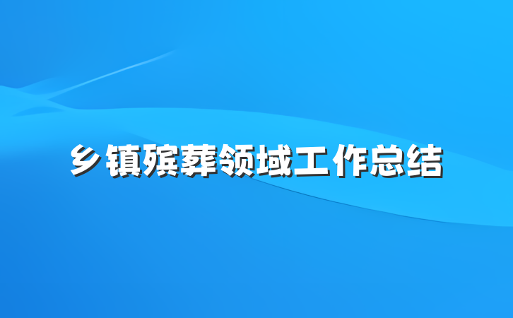 乡镇殡葬领域工作总结
