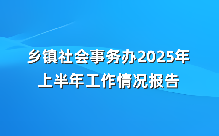 乡镇社会事务办2025年上半年工作情况报告
