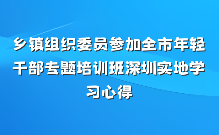 乡镇组织委员参加全市年轻干部专题培训班深圳实地学习心得