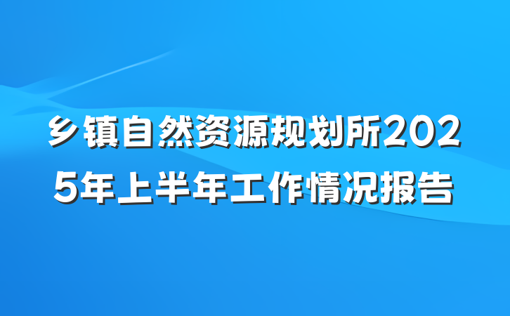 乡镇自然资源规划所2025年上半年工作情况报告